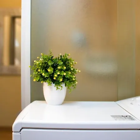 Apartamento Mansarda Mare *