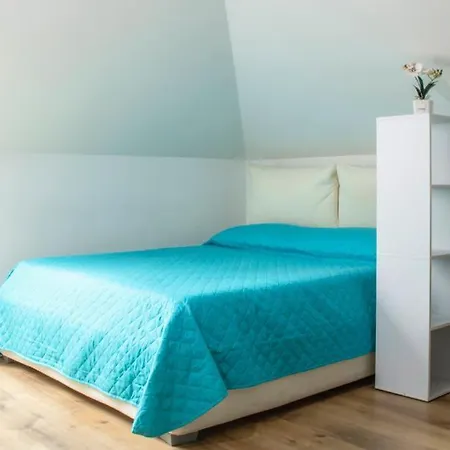 Apartment Mansarda Mare *