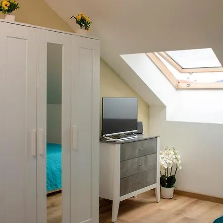 Mansarda Mare Apartament